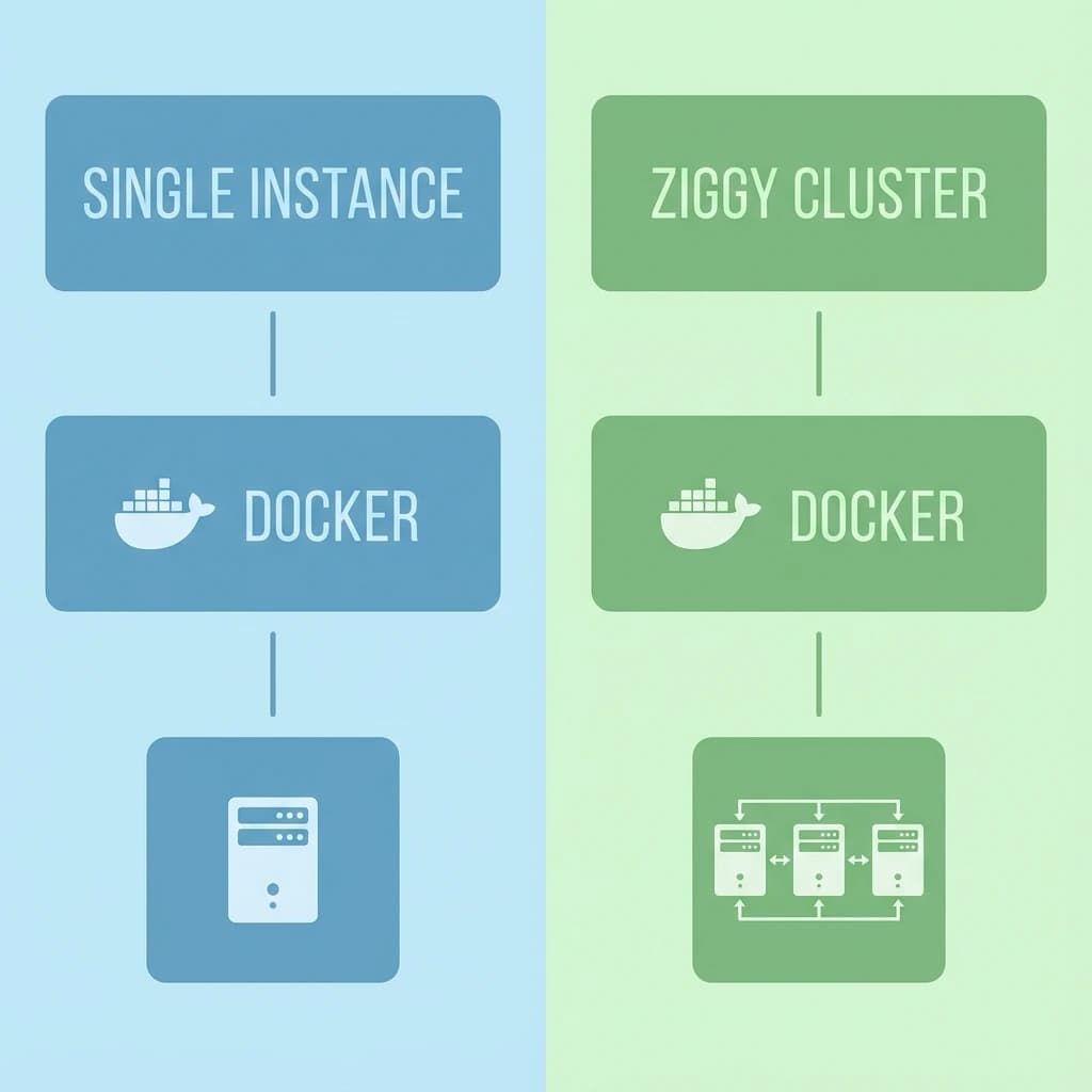 Single Instance or Ziggy Cluster